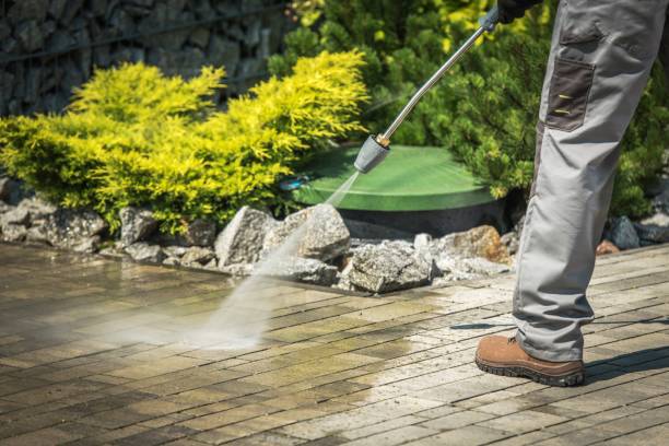 Best Warehouse Cleaning  in Onawa, IA